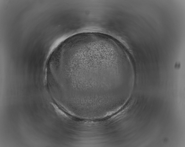 X0000090611366200707311213