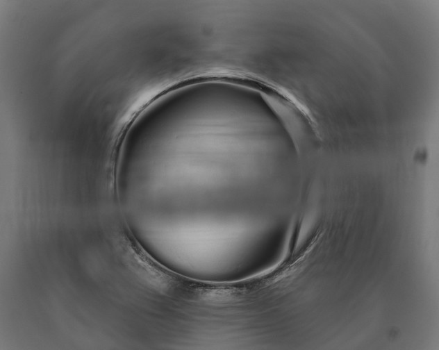 X0000090611367200707311213