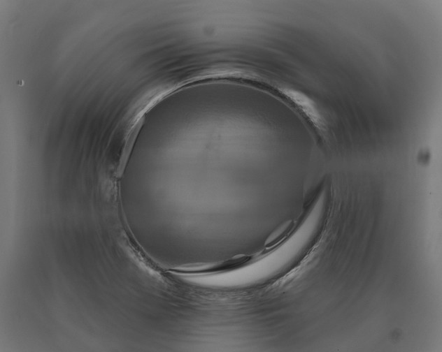 X0000090611369200707311213