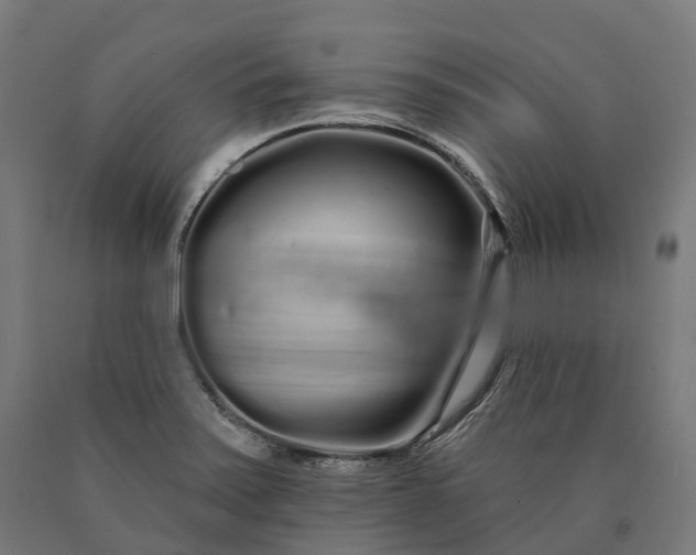 X0000090611371200707311213