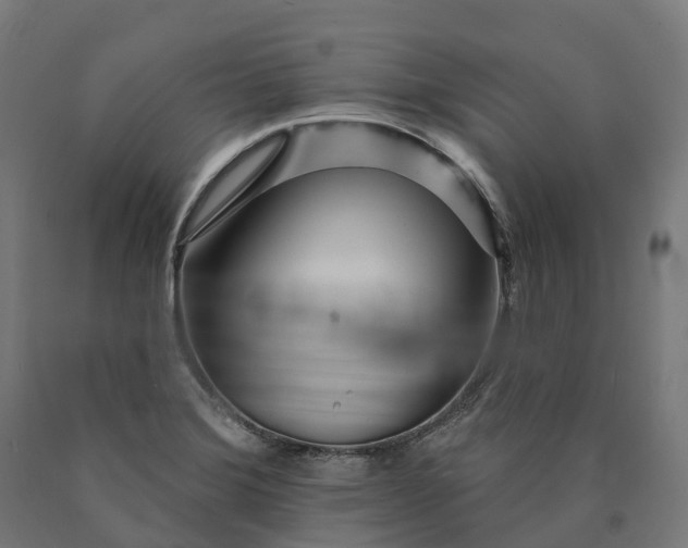 X0000090611372200707311213