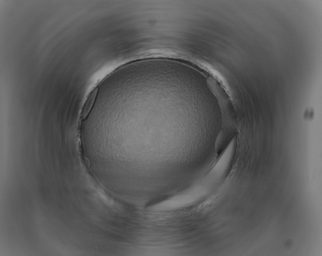 X0000090611373200707311213