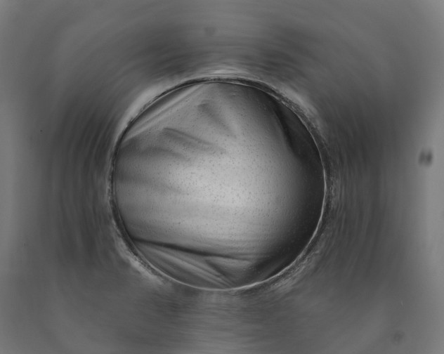 X0000090611374200707311213