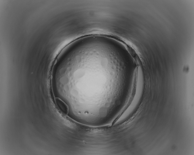 X0000090611375200707311213