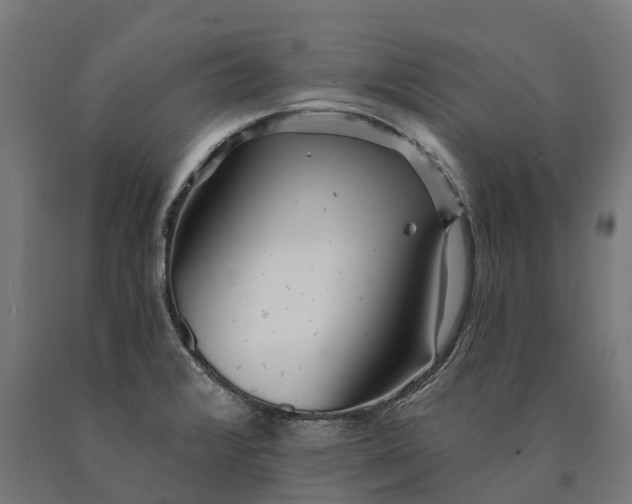 X0000090611376200707311213