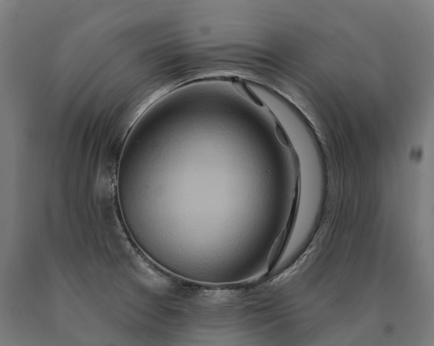 X0000090611377200707311213