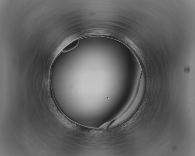 X0000090611378200707311213