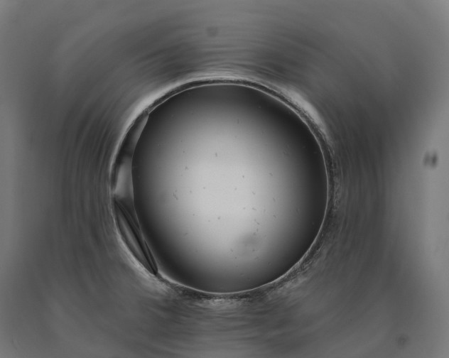 X0000090611380200707311213