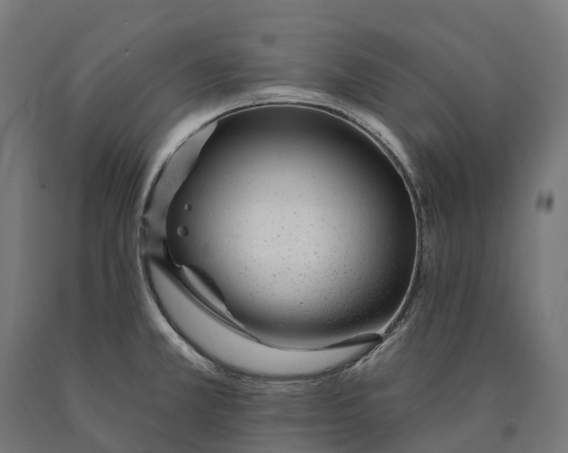 X0000090611381200707311213