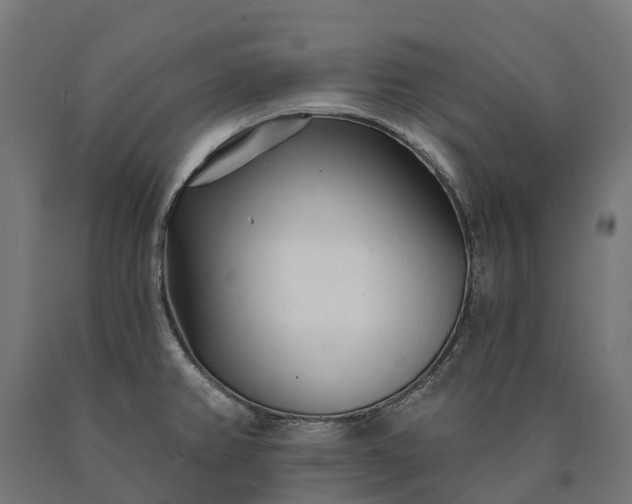 X0000090611382200707311213