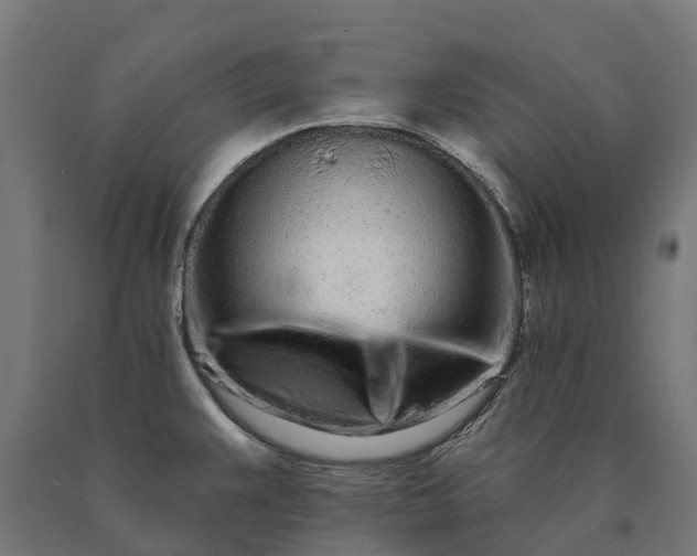 X0000090611383200707311213