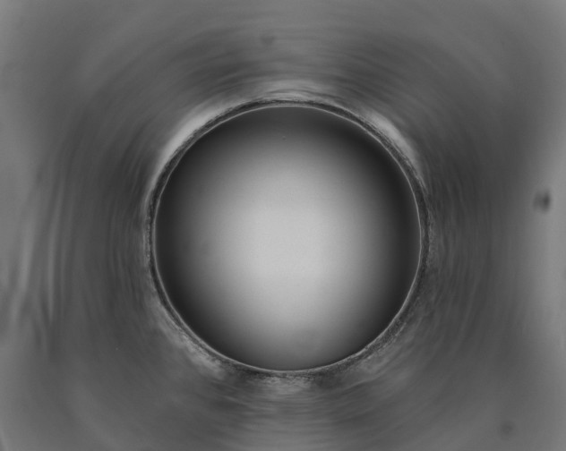 X0000090611384200707311213