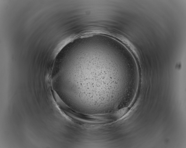 X0000090611385200707311213