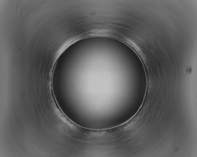 X0000090611386200707311213