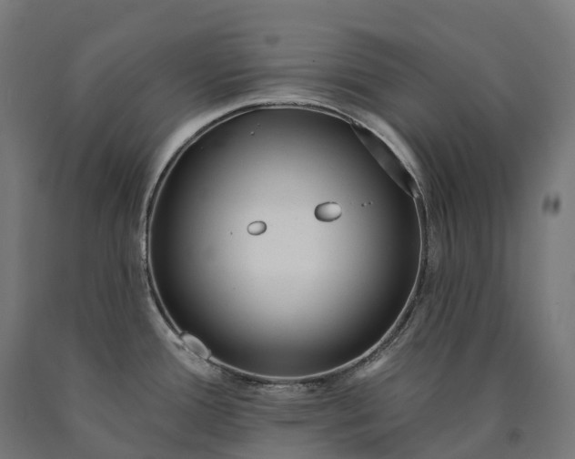 X0000090611388200707311213