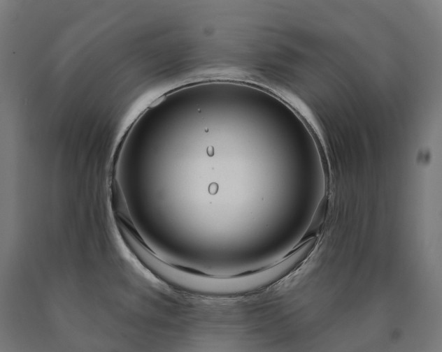 X0000090611389200707311213