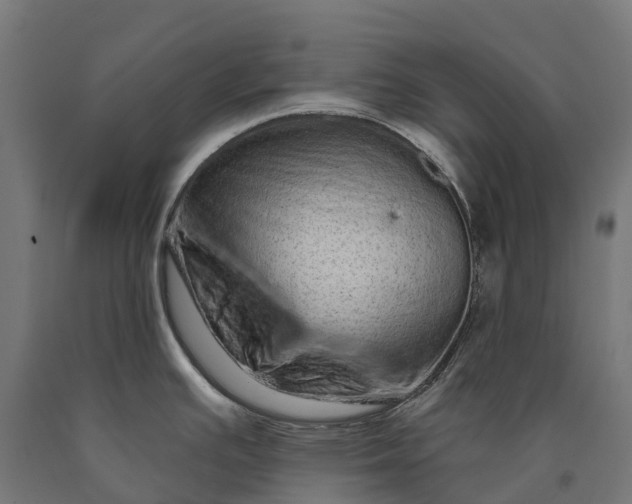 X0000090611391200707311213