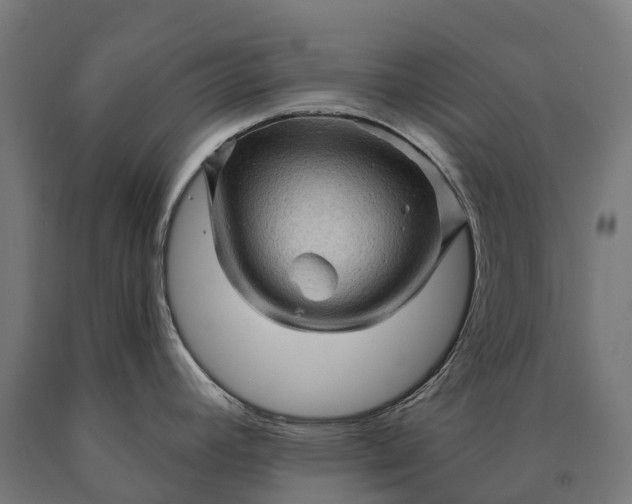 X0000090611392200707311213