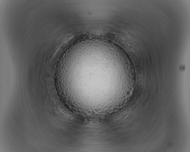 X0000090611393200707311212