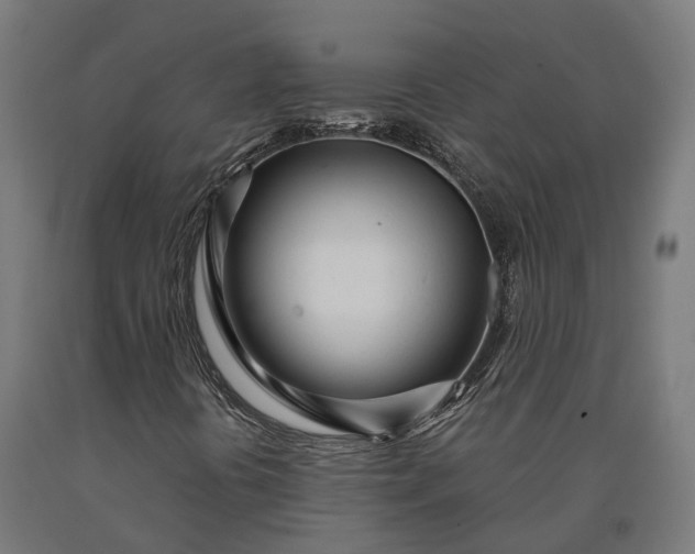 X0000090611394200707311212