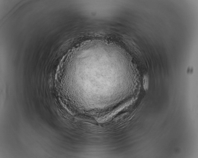 X0000090611395200707311212