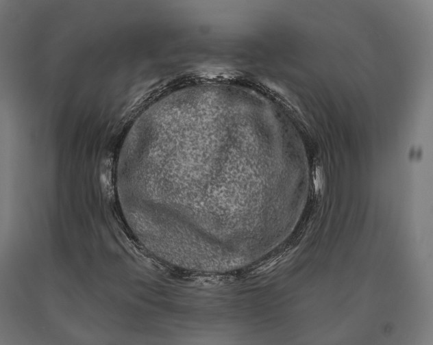 X0000090611396200707311212