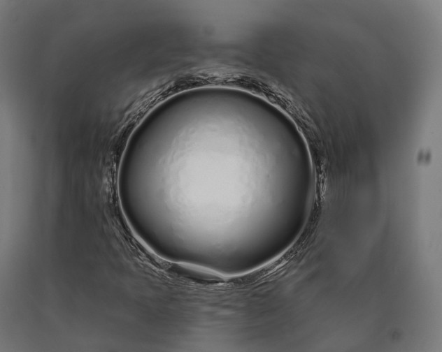 X0000090611397200707311212