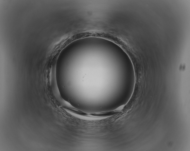 X0000090611398200707311212