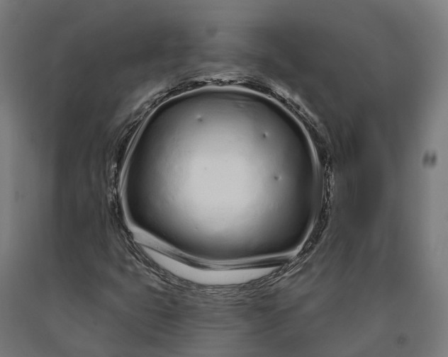 X0000090611399200707311212