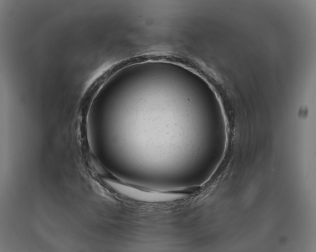 X0000090611400200707311212