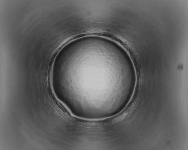 X0000090611401200707311212