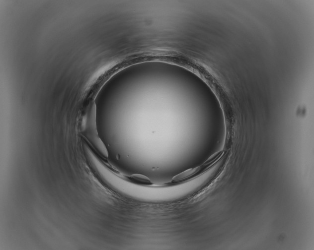 X0000090611402200707311212