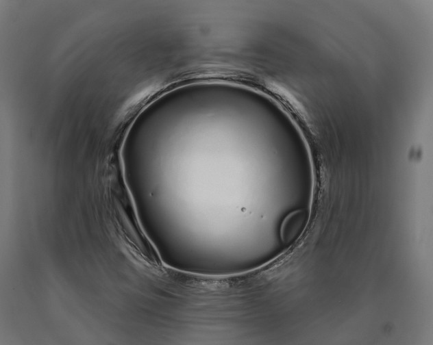 X0000090611403200707311212