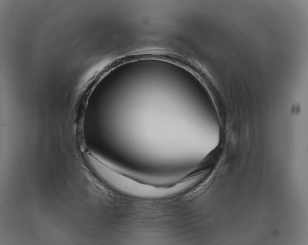 X0000090611406200707311212