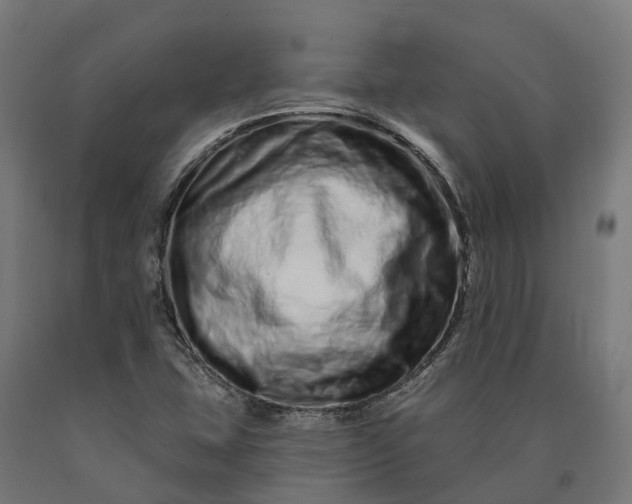 X0000090611407200707311212