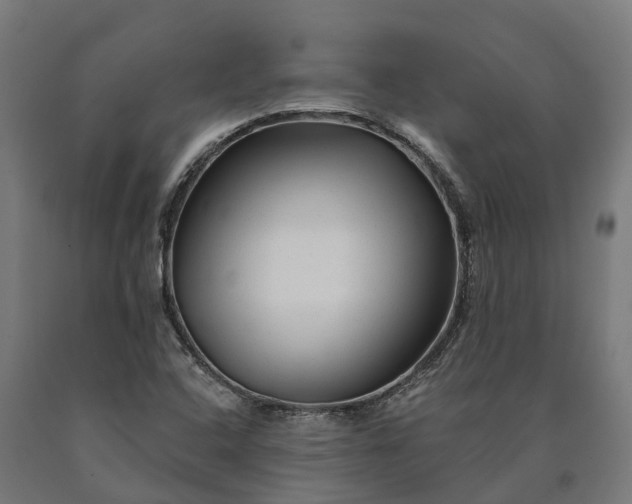 X0000090611408200707311212