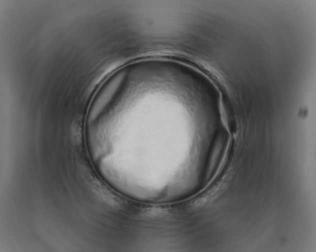 X0000090611409200707311212