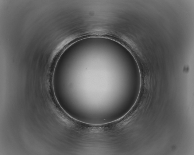 X0000090611410200707311212