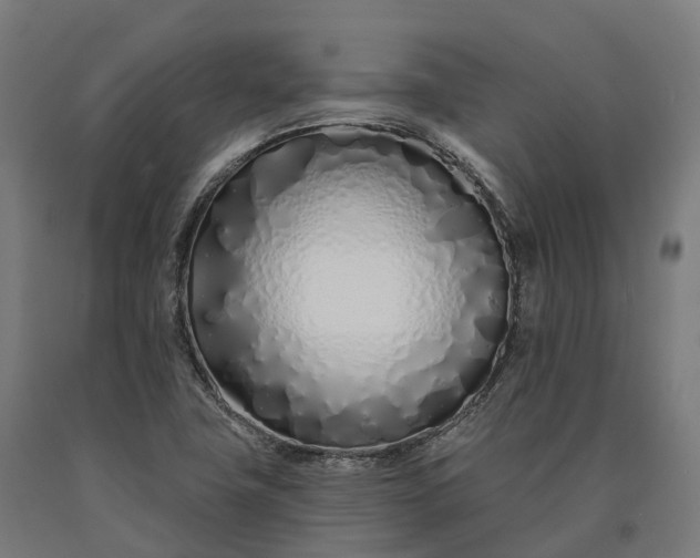 X0000090611411200707311212