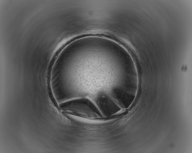 X0000090611412200707311212