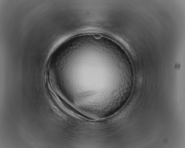 X0000090611413200707311212