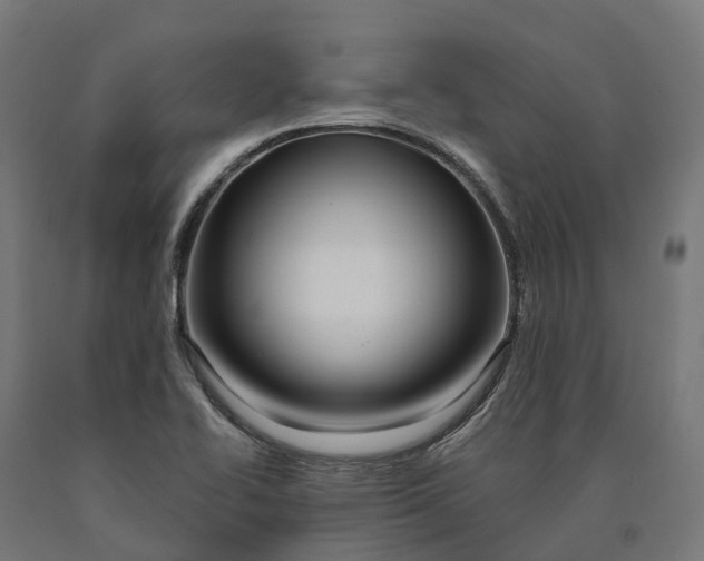 X0000090611414200707311212