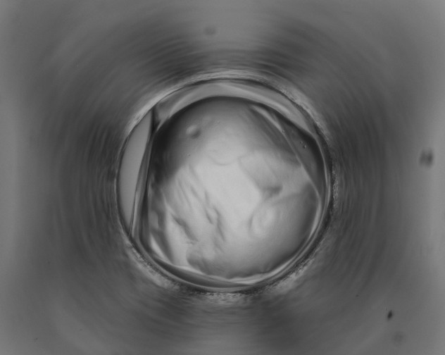 X0000090611417200707311212