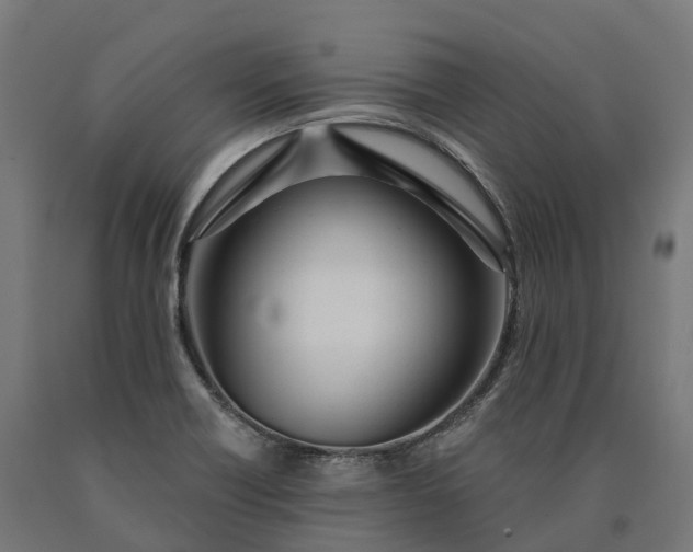 X0000090611418200707311213