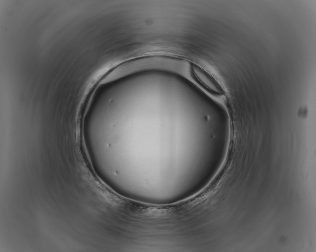 X0000090611419200707311213