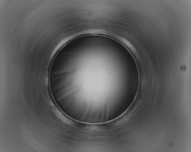 X0000090611420200707311213