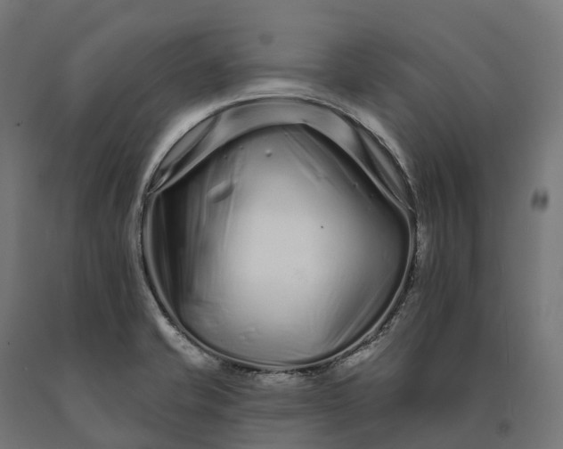 X0000090611421200707311213