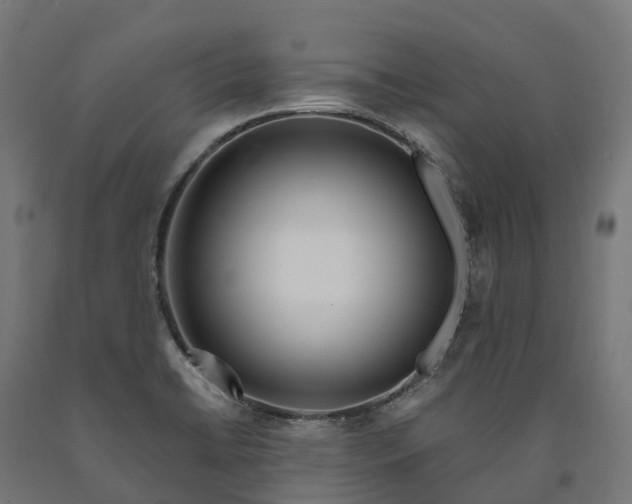 X0000090611422200707311213