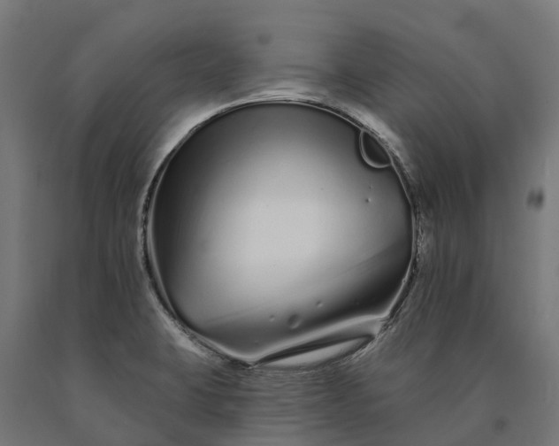 X0000090611423200707311213