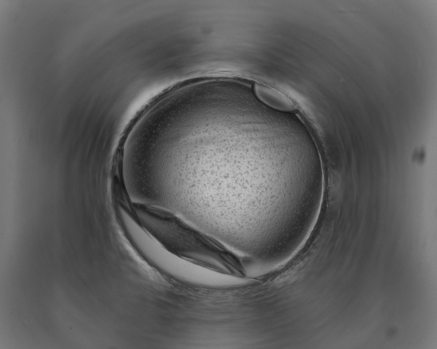 X0000090611424200707311213